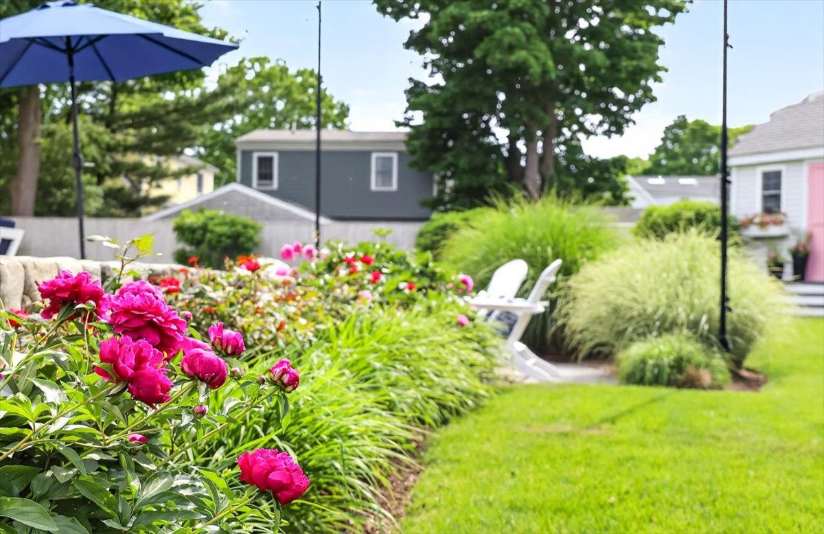 Patio Garden